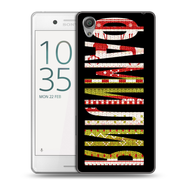 Пластиковый чехол на Sony Xperia X Performance с принтом ФАМИЛИЯ