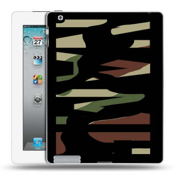 Пластиковый чехол на Ipad 2/3/4 с принтом NAME