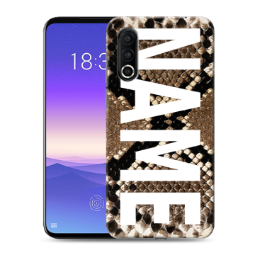 Пластиковый чехол на Meizu 16s Pro с принтом NAME