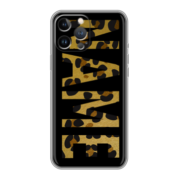 Силиконовый чехол на Iphone 13 Pro с принтом NAME