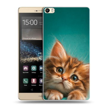 Пластиковый чехол на Huawei P8 Max с принтом котенок
