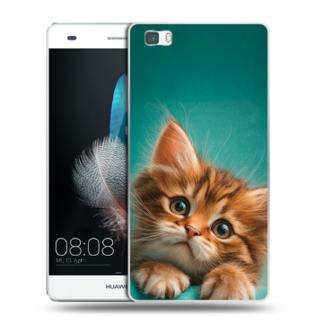 Силиконовый чехол на Huawei P8 Lite с принтом котенок Силиконовый чехол на Huawei P8 Lite с принтом котенок