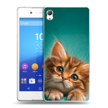 Пластиковый чехол на Sony Xperia Z3+ с принтом котенок