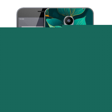 Пластиковый чехол на Meizu M2 Note с принтом Листья и золото