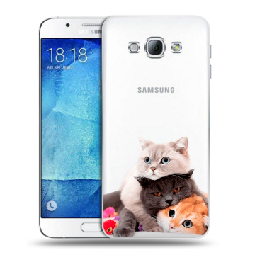 Пластиковый чехол на Samsung Galaxy A8 с принтом Кошки