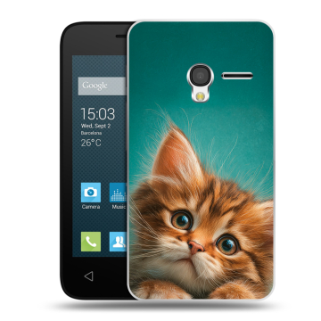 Пластиковый чехол на Alcatel One Touch Pixi 3 (4.0) с принтом котенок Пластиковый чехол на Alcatel One Touch Pixi 3 (4.0) с принтом котенок