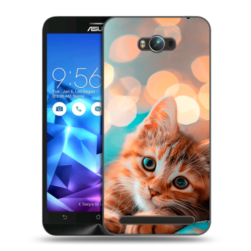 Пластиковый чехол на ASUS ZenFone Max с принтом котик Пластиковый чехол на ASUS ZenFone Max с принтом котик