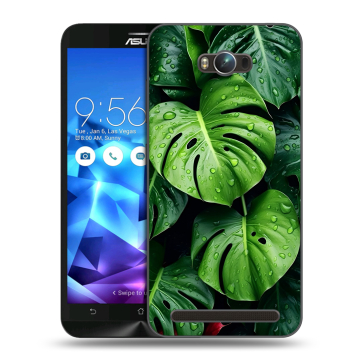 Пластиковый чехол на ASUS ZenFone Max с принтом Листья Пластиковый чехол на ASUS ZenFone Max с принтом Листья