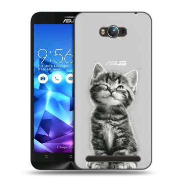 Пластиковый чехол на ASUS ZenFone Max с принтом Котенок Пластиковый чехол на ASUS ZenFone Max с принтом Котенок