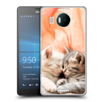 Пластиковый чехол на Microsoft Lumia 950 XL с принтом Котята