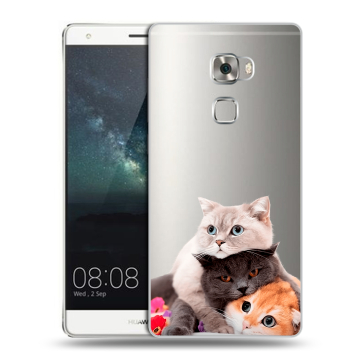 Пластиковый чехол на Huawei Mate S с принтом Кошки