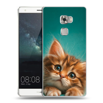 Пластиковый чехол на Huawei Mate S с принтом котенок Пластиковый чехол на Huawei Mate S с принтом котенок