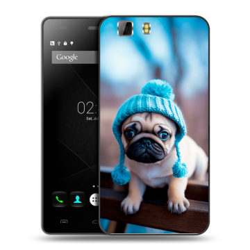 Силиконовый чехол на Doogee X5 с принтом Мопс в шапке Силиконовый чехол на Doogee X5 с принтом Мопс в шапке