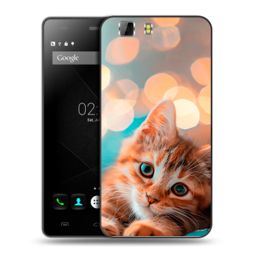 Силиконовый чехол на Doogee X5 с принтом котик Силиконовый чехол на Doogee X5 с принтом котик
