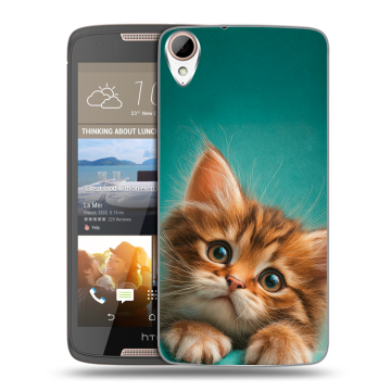 Силиконовый чехол на HTC Desire 828 с принтом котенок