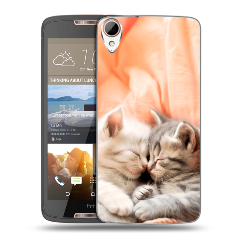 Силиконовый чехол на HTC Desire 828 с принтом Котята Силиконовый чехол на HTC Desire 828 с принтом Котята