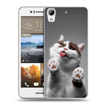 Пластиковый чехол на HTC Desire 728 с принтом Коты