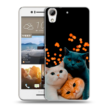 Пластиковый чехол на HTC Desire 728 с принтом Кошки