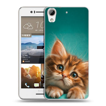 Пластиковый чехол на HTC Desire 728 с принтом котенок