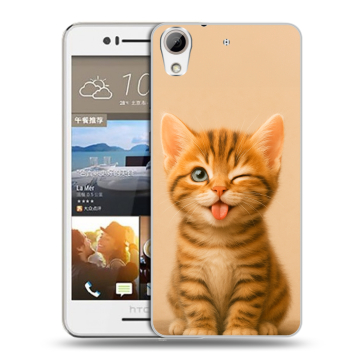 Пластиковый чехол на HTC Desire 728 с принтом котенок