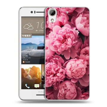 Пластиковый чехол на HTC Desire 728 с принтом цветы пионы