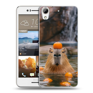 Пластиковый чехол на HTC Desire 728 с принтом Капибара с апельсином Пластиковый чехол на HTC Desire 728 с принтом Капибара с апельсином