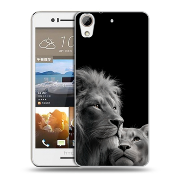 Пластиковый чехол на HTC Desire 728 с принтом Лев кошки