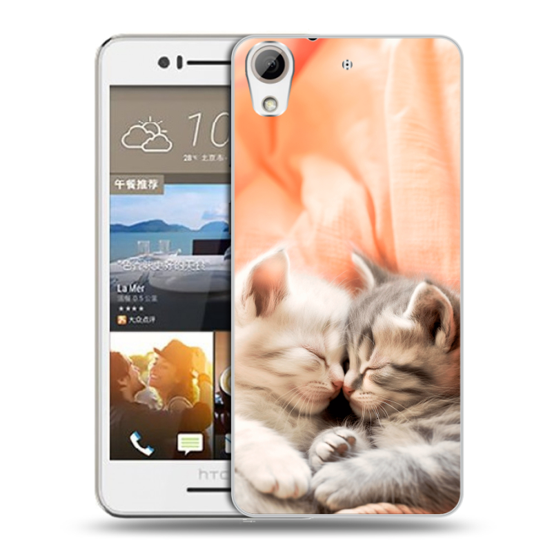 Пластиковый чехол на HTC Desire 728 с принтом Котята Пластиковый чехол на HTC Desire 728 с принтом Котята
