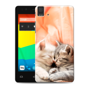 Силиконовый чехол на BQ Aquaris E4.5 с принтом Котята