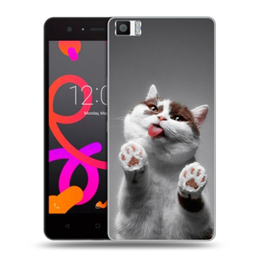 Силиконовый чехол на BQ Aquaris M5 с принтом Коты