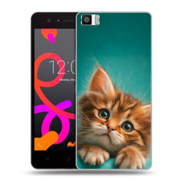 Силиконовый чехол на BQ Aquaris M5 с принтом котенок Силиконовый чехол на BQ Aquaris M5 с принтом котенок
