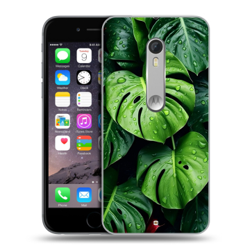 Пластиковый чехол на Motorola Moto X Style с принтом Листья