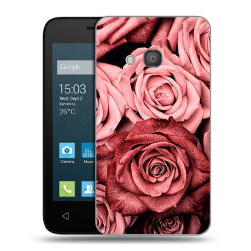 Пластиковый чехол на Alcatel One Touch Pixi 4 (4) с принтом Цветы розы Пластиковый чехол на Alcatel One Touch Pixi 4 (4) с принтом Цветы розы