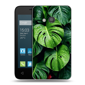 Пластиковый чехол на Alcatel One Touch Pixi 4 (4) с принтом Листья Пластиковый чехол на Alcatel One Touch Pixi 4 (4) с принтом Листья