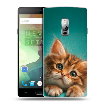 Пластиковый чехол на OnePlus 2 с принтом котенок Пластиковый чехол на OnePlus 2 с принтом котенок