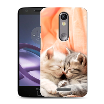 Пластиковый чехол на Lenovo Moto X Force с принтом Котята Пластиковый чехол на Lenovo Moto X Force с принтом Котята