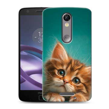 Пластиковый чехол на Lenovo Moto X Force с принтом котенок Пластиковый чехол на Lenovo Moto X Force с принтом котенок
