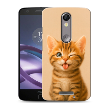 Пластиковый чехол на Lenovo Moto X Force с принтом котенок Пластиковый чехол на Lenovo Moto X Force с принтом котенок