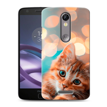Пластиковый чехол на Lenovo Moto X Force с принтом котик Пластиковый чехол на Lenovo Moto X Force с принтом котик