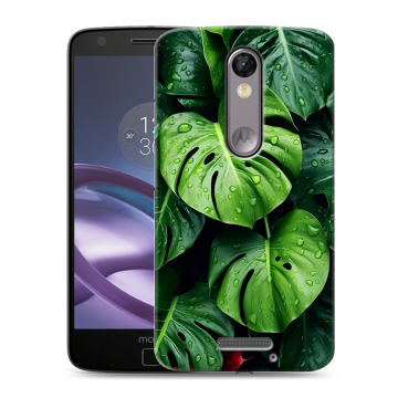 Пластиковый чехол на Lenovo Moto X Force с принтом Листья Пластиковый чехол на Lenovo Moto X Force с принтом Листья