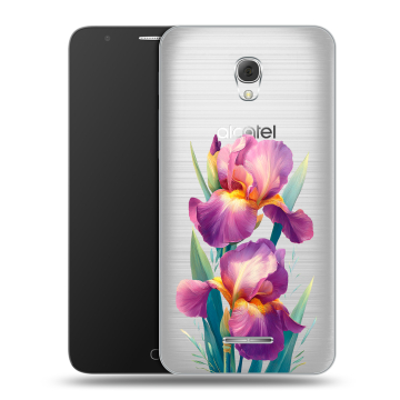 Пластиковый чехол на Alcatel Pop 4 Plus с принтом Цветы орхидеи Пластиковый чехол на Alcatel Pop 4 Plus с принтом Цветы орхидеи