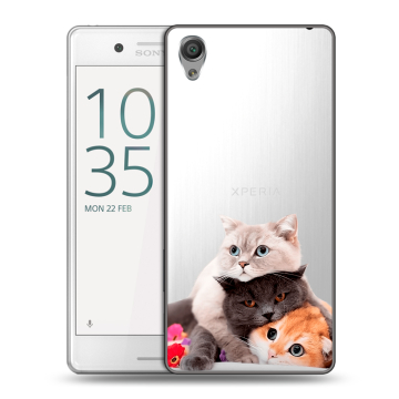 Пластиковый чехол на Sony Xperia X Performance с принтом Кошки Пластиковый чехол на Sony Xperia X Performance с принтом Кошки