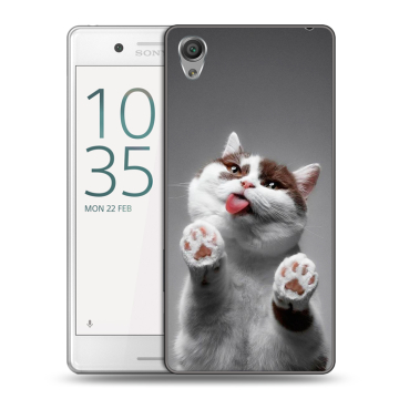 Пластиковый чехол на Sony Xperia X Performance с принтом Коты Пластиковый чехол на Sony Xperia X Performance с принтом Коты