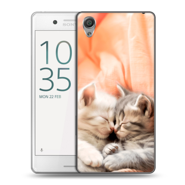 Пластиковый чехол на Sony Xperia X Performance с принтом Котята Пластиковый чехол на Sony Xperia X Performance с принтом Котята