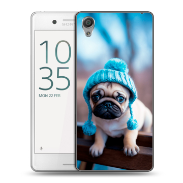 Пластиковый чехол на Sony Xperia X Performance с принтом Мопс в шапке