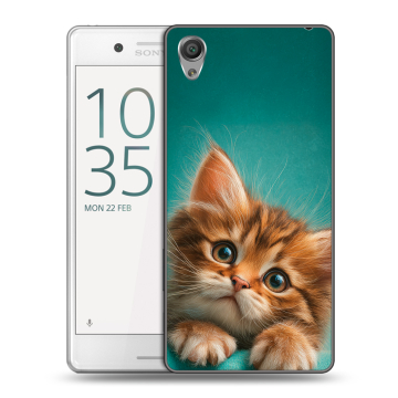 Пластиковый чехол на Sony Xperia X Performance с принтом котенок Пластиковый чехол на Sony Xperia X Performance с принтом котенок