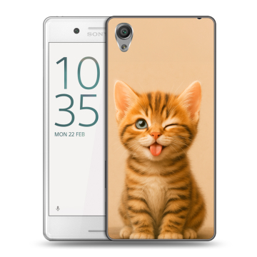 Пластиковый чехол на Sony Xperia X Performance с принтом котенок