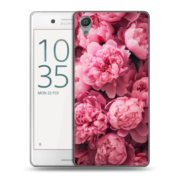 Пластиковый чехол на Sony Xperia X Performance с принтом цветы пионы Пластиковый чехол на Sony Xperia X Performance с принтом цветы пионы