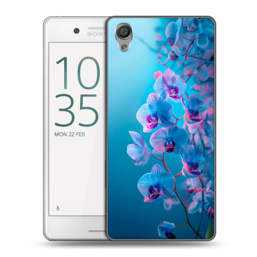 Пластиковый чехол на Sony Xperia X Performance с принтом голубые орхидеи Пластиковый чехол на Sony Xperia X Performance с принтом голубые орхидеи