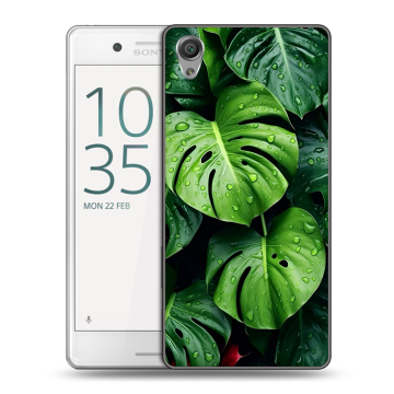 Пластиковый чехол на Sony Xperia X Performance с принтом Листья Пластиковый чехол на Sony Xperia X Performance с принтом Листья